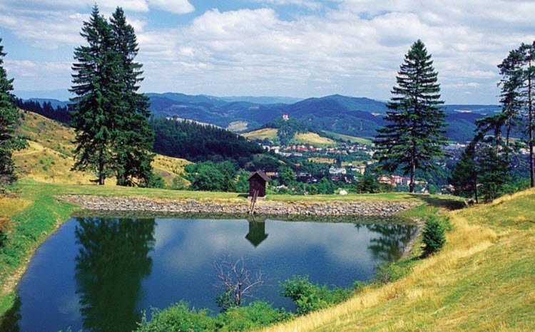 Arborétum Kysihýbeľ, Banská Štiavnica, Slovakia, Slovakia